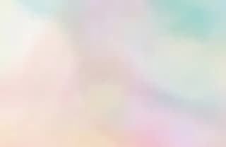 会社を設立しました